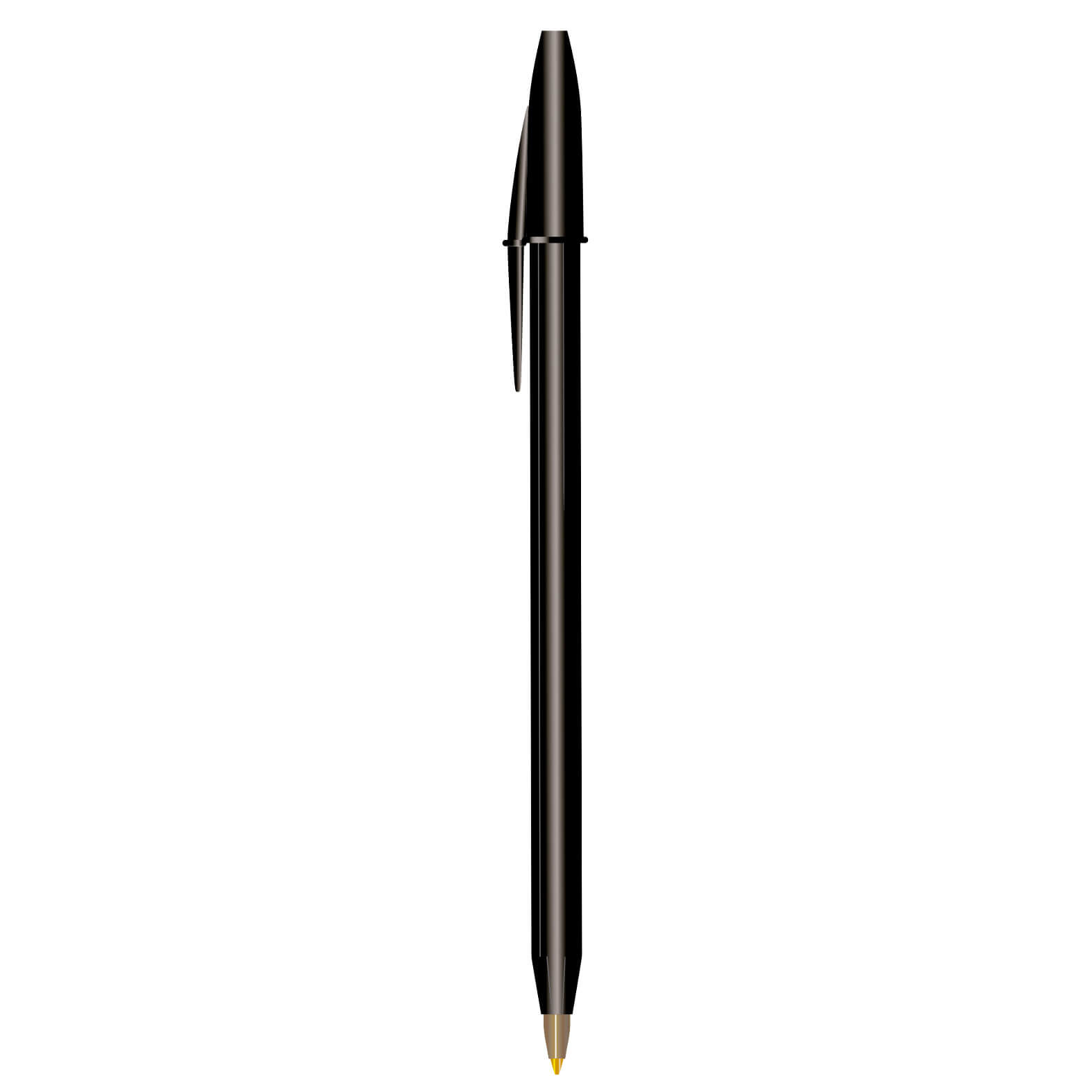 EE1446 - BIC